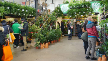 Le collectif Plantes pour tous de retour à Bordeaux